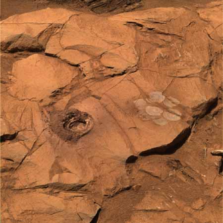 A rock with holes - true color.  Image credit NASA/JPL. 