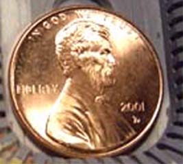 Closeup on Penny