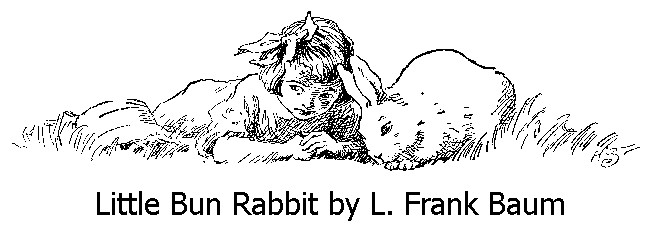 little bun rabbit