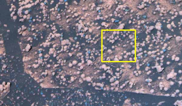 Blueberries and popcorn. {False color} Image credit NASA/JPL.