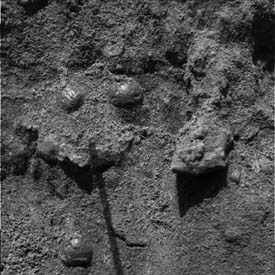 A close up of some shiny rocks. Image credit NASA/JPL.