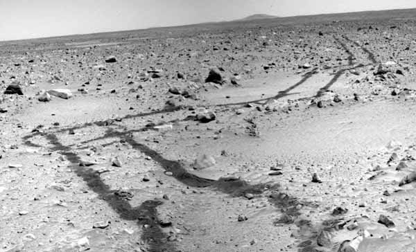 Rover tracks as seen from the ground. Image credit NASA/JPL.
